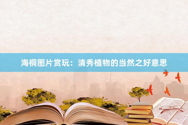海桐图片赏玩：清秀植物的当然之好意思